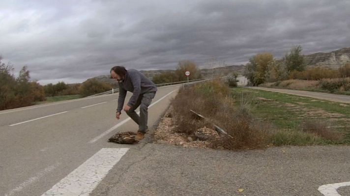 Aquí la Tierra - La muerte silenciosa