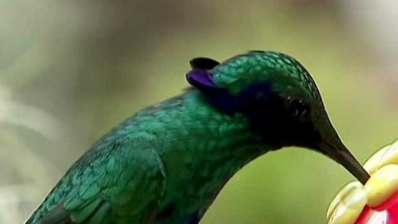 La 2 Noticias - 17/12/15 - Ver ahora