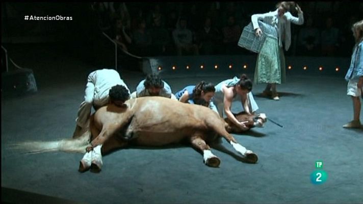 Atención obras - Las "Bèsties" llegan al Mercat de les Flors