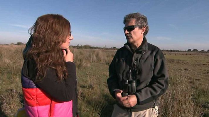 El escarabajo verde - El agua tenía un precio