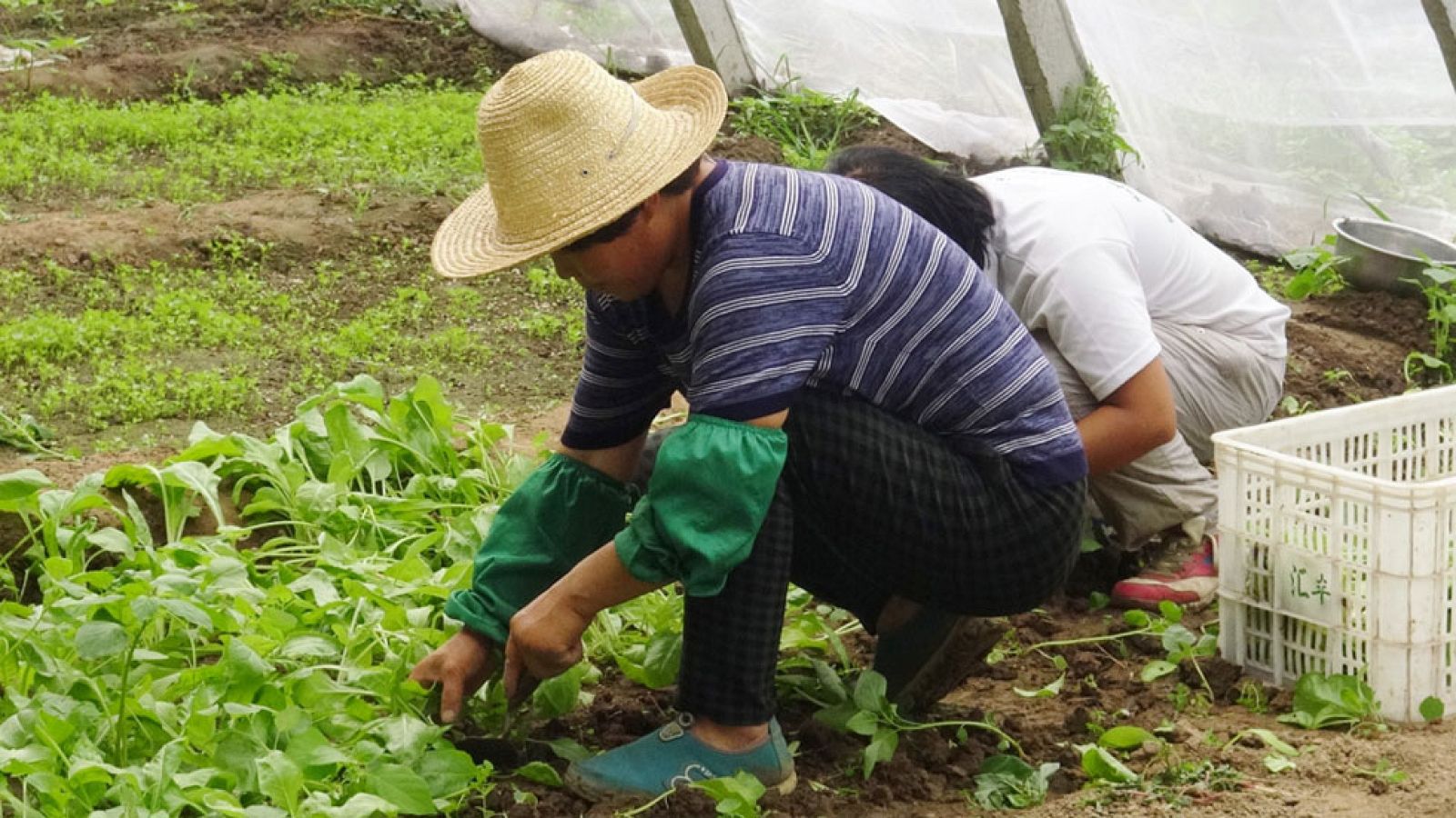 La larga y peligrosa travesía en la huida del horror sirio