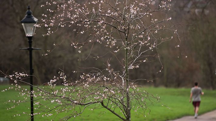 El tiempo - Cielo cubierto en buena parte del oeste peninsular y norte de Canarias