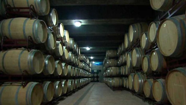 Zoom Tendencias - Mexico sabroso y desconocido