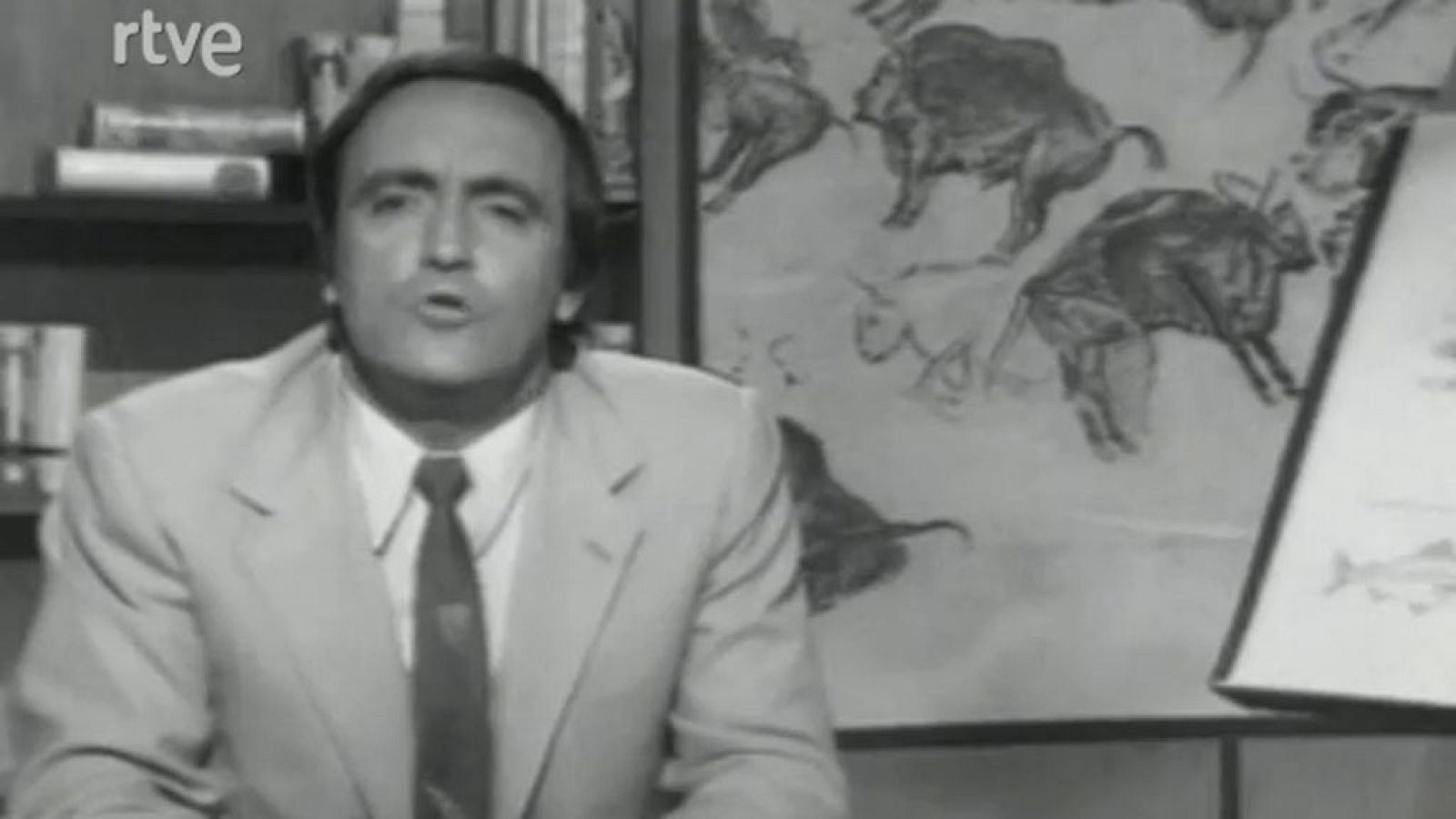 Vida salvaje - Viajeros eternos