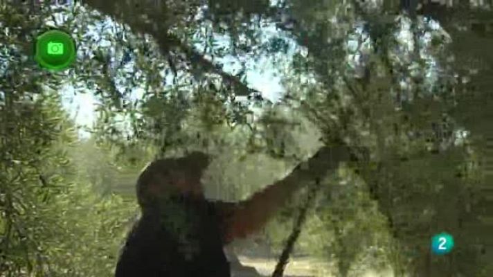 Agrosfera - Sierra Sur de Jaén