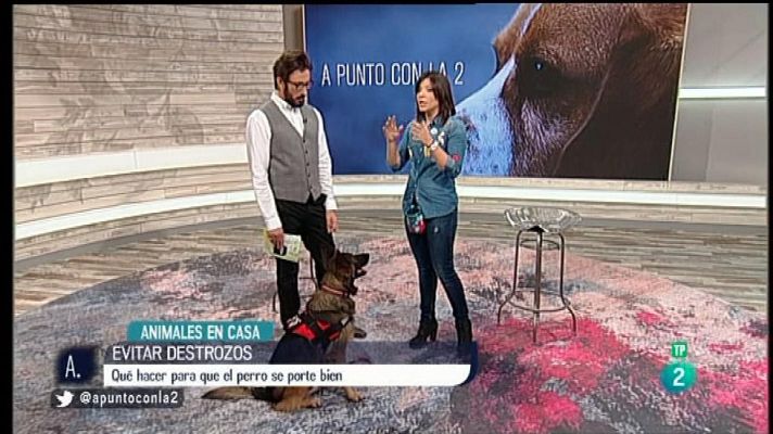 A punto con La 2 - Animales en casa con Nuria Sorribes