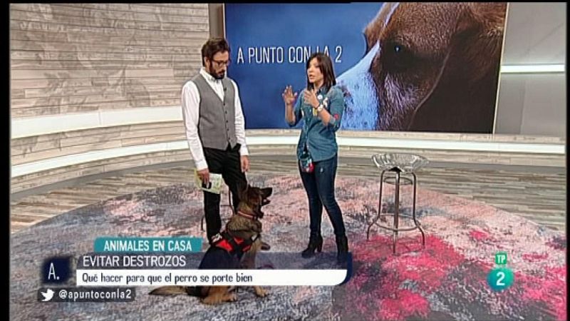 A punto con La 2 - Animales en casa con Nuria Sorribes