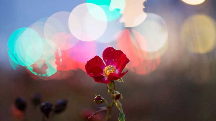 Informativo de Madrid - El Tiempo en la Comunidad de Madrid - 22/12/15