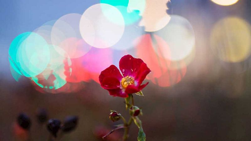 El Tiempo en la Comunidad de Madrid - 22/12/15