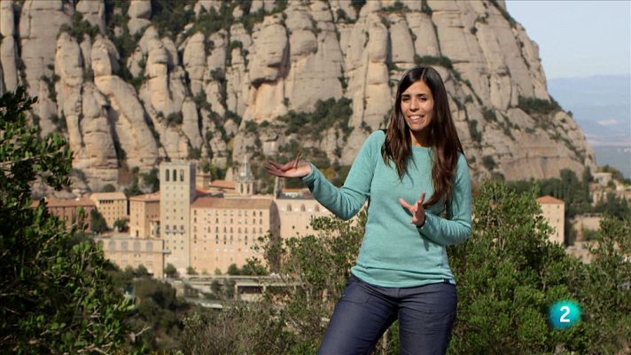 Animalades - Terra endins