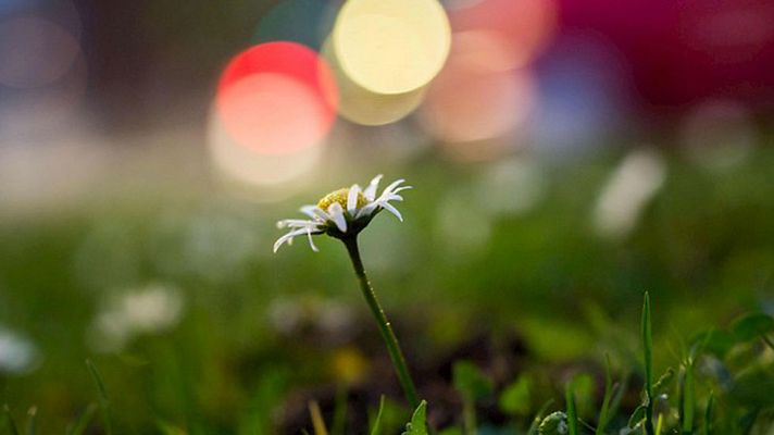 El tiempo - Nieblas en meseta norte, y viento fuerte en Galicia y en el Estrecho