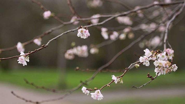 Informativo de Madrid - El Tiempo en la Comunidad de Madrid - 23/12/15
