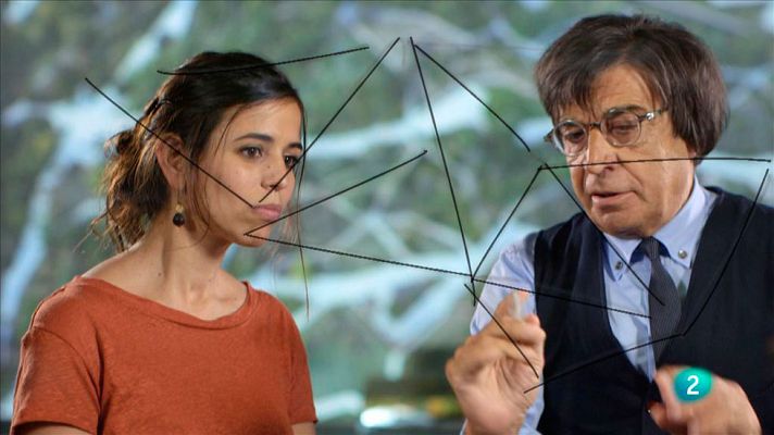 Animalades - Carlos Ferrater i les teles de les aranyes