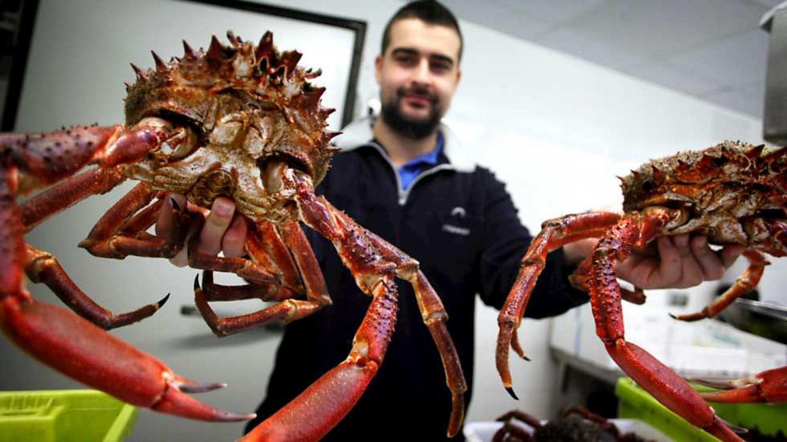 España Directo - 23/12/15 - Ver ahora