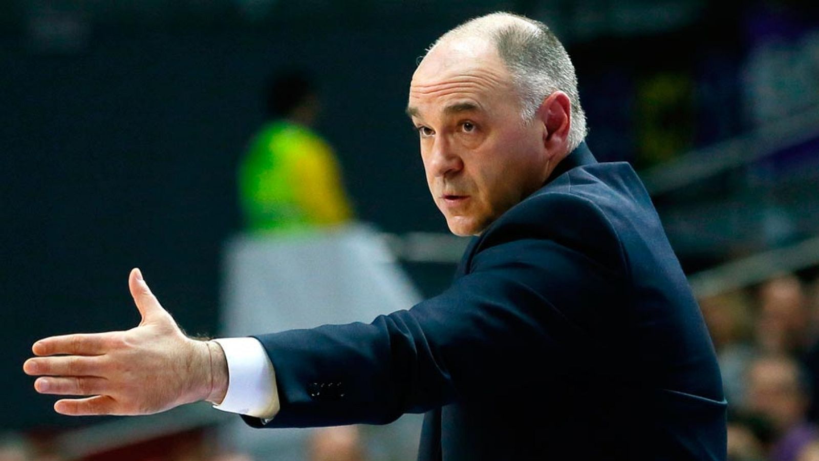 Pablo Laso renueva como entrenador del Real Madrid hasta 2018 | Ver