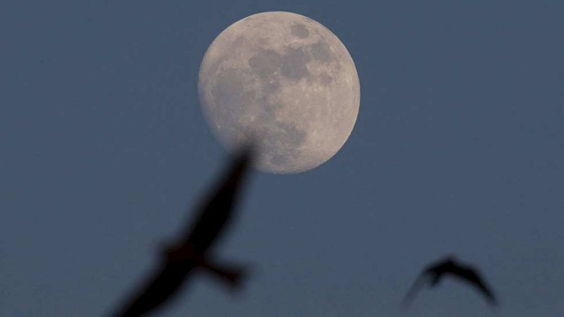 Viento fuerte en Galicia, Canarias y montañas del norte