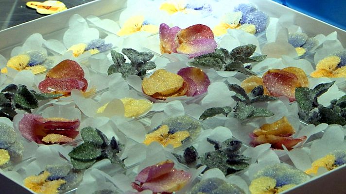 Comando Actualidad - Flores comestibles