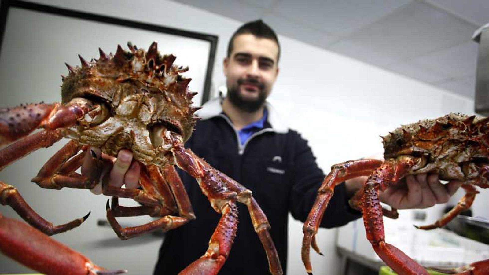 España en 24 horas - 24/12/15  - Ver ahora