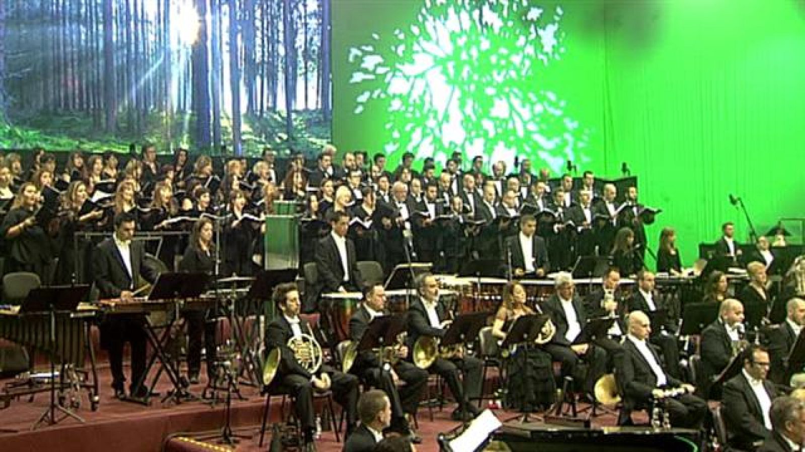 Canarias en 2' - 26/12/2015