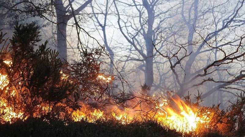 Cerca de 2.000 hectáreas han ardido ya en Cantabria, con 82 incendios aún activos