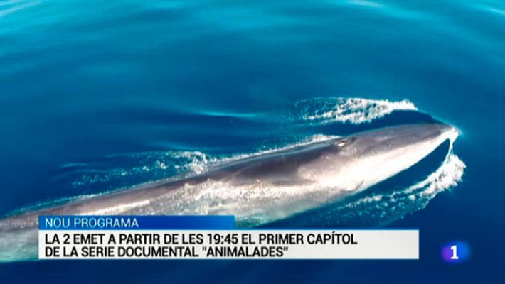 L'Informatiu - L'Informatiu 2 - 28/12/2015