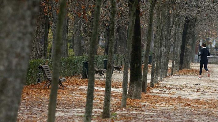 Informativo de Madrid - El Tiempo en la Comunidad de Madrid - 29/12/15