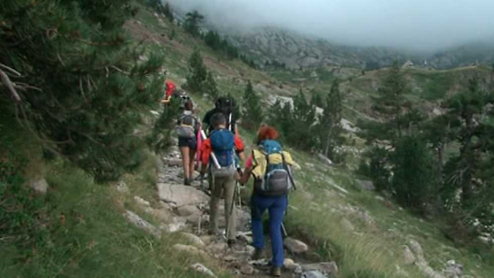 Comando Actualidad - Comando año ocho - Ver ahora