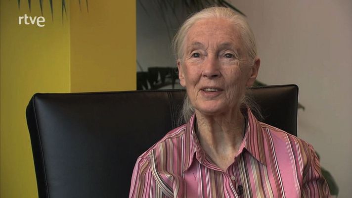 Animalades - animalades - Jane Goodall recomana animalades