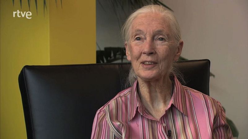 animalades - Jane Goodall recomana animalades