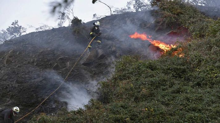Telediario 1 - Telediario 1 en 4' - 30/12/15