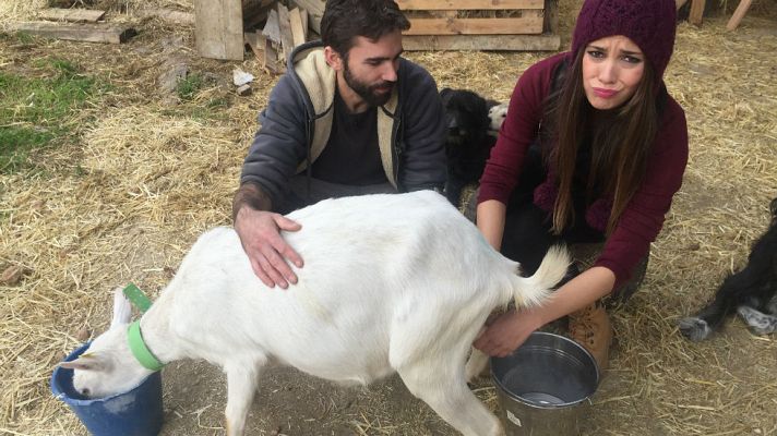 Aquí la Tierra - Adopta a Marta: pastora por un día