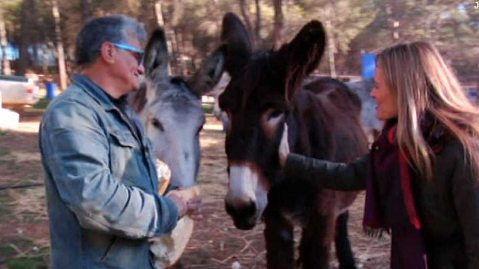Aquí la Tierra - 31/12/15 - Ver ahora