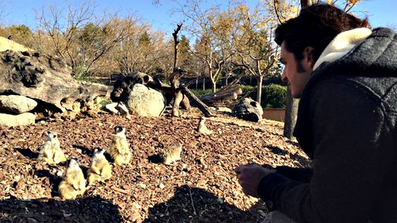 Carlos Sainz Jr ha vivido su primera temporada en el Gran Circo de la F�rmula Uno con m�s luces que sombras. Todo un sue�o cumplido.