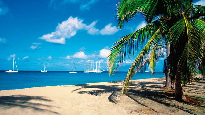 Grandes documentales - Sabores de las pequeñas perlas del Caribe