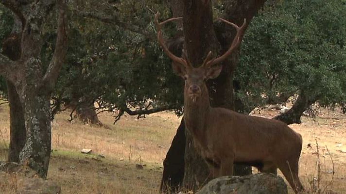 Jara y sedal - Lecciones de campo
