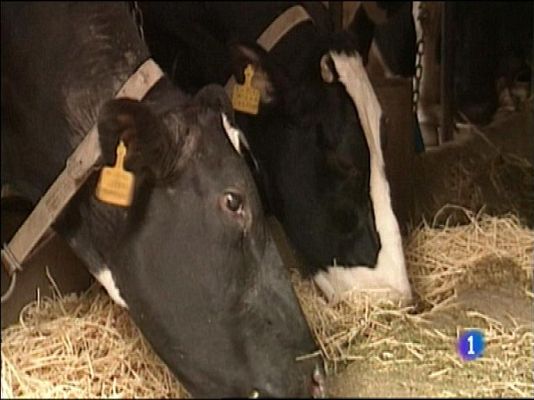 Panorama Regional - Asturias en 2' - 04/01/16