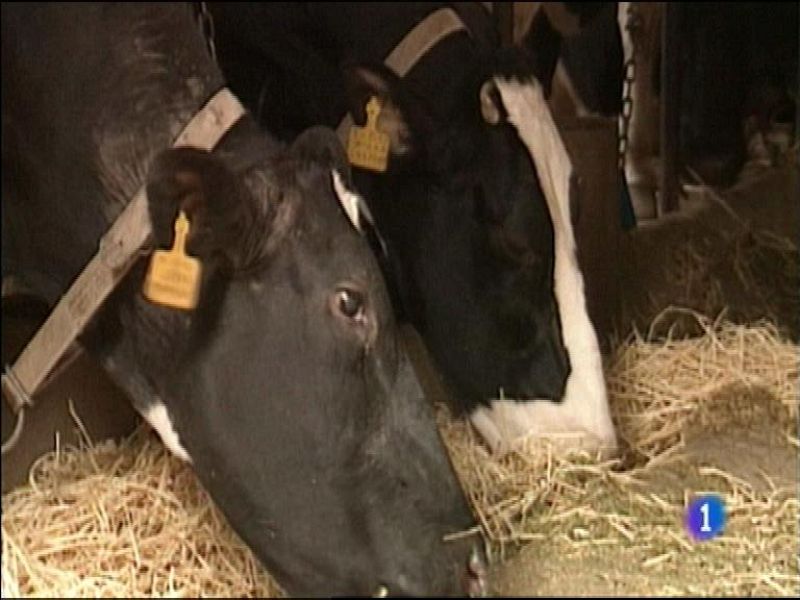 Panorama Regional - 04/01/16 | Ver