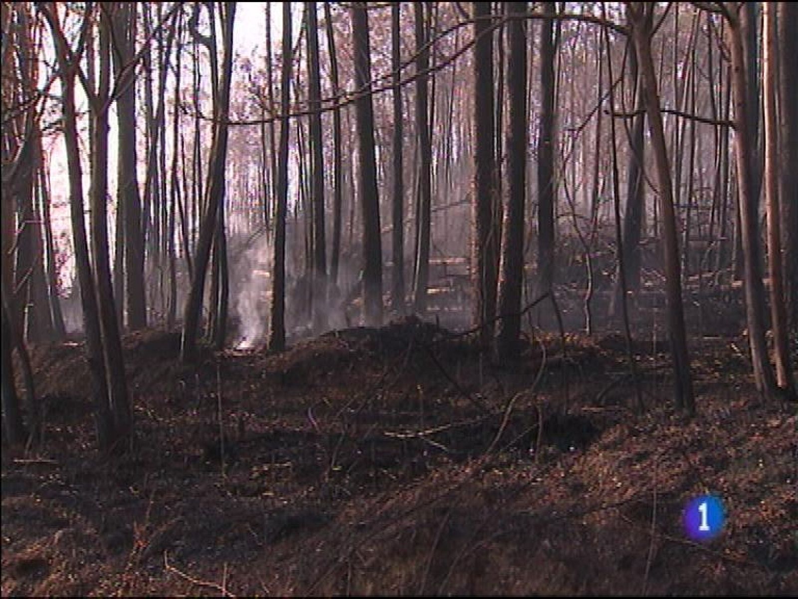 Panorama Regional 2 - 05/01/16 | Ver