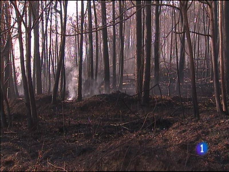 Panorama Regional 2 - 05/01/16 | Ver