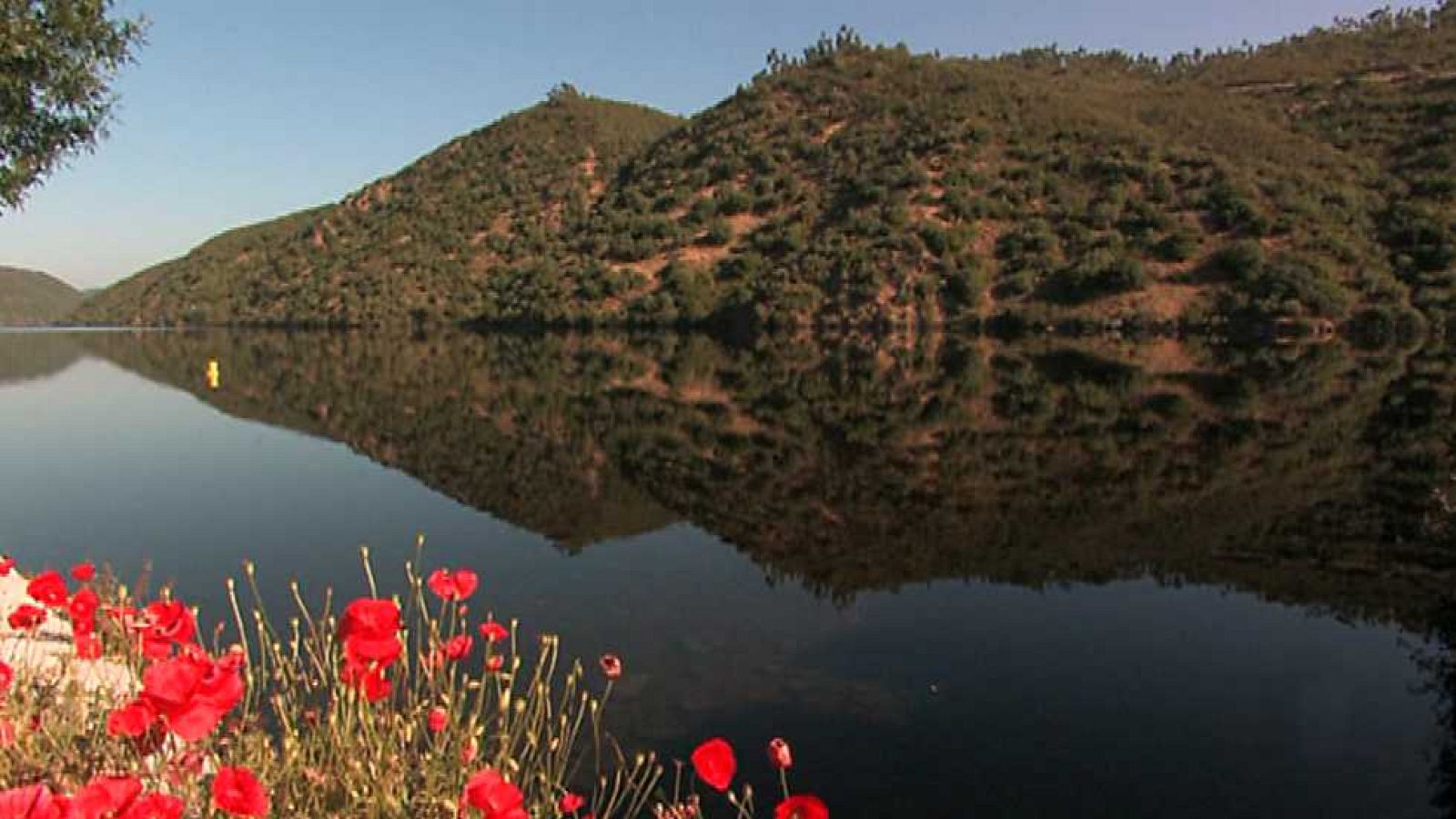 Otros documentales - Tajo Internacional - Ver ahora