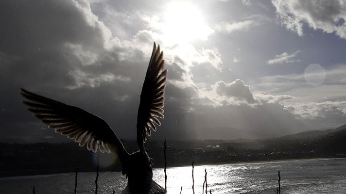 El tiempo - Precipitaciones fuertes en Galicia, Asturias y norte de Extremadura