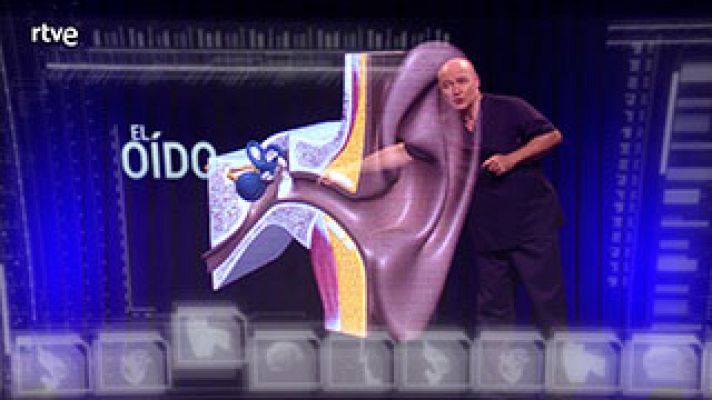  - El equilibrio es una cuestión de oído