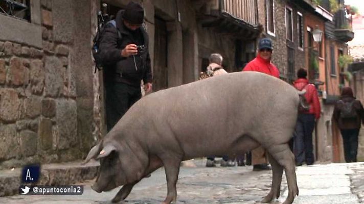 A punto con La 2 - A punto con La 2 - 07/01/16