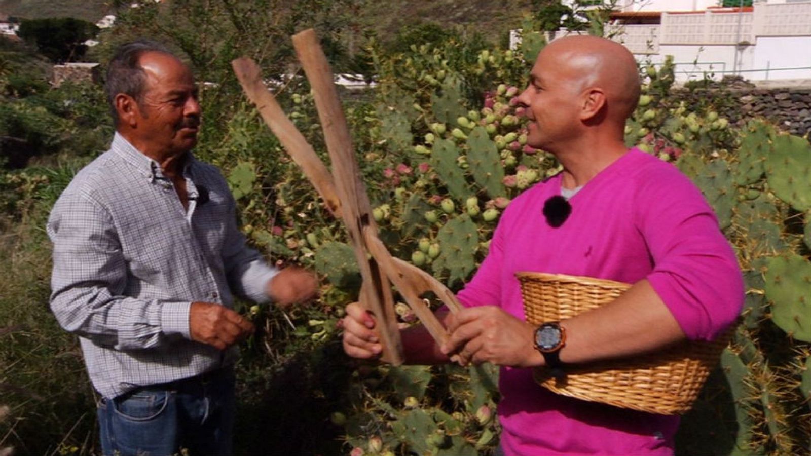 Un tuno... que no canta