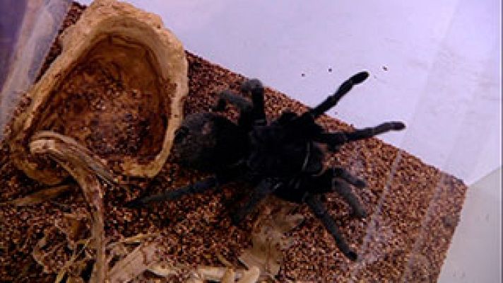  - Enfrentarte a tus miedos