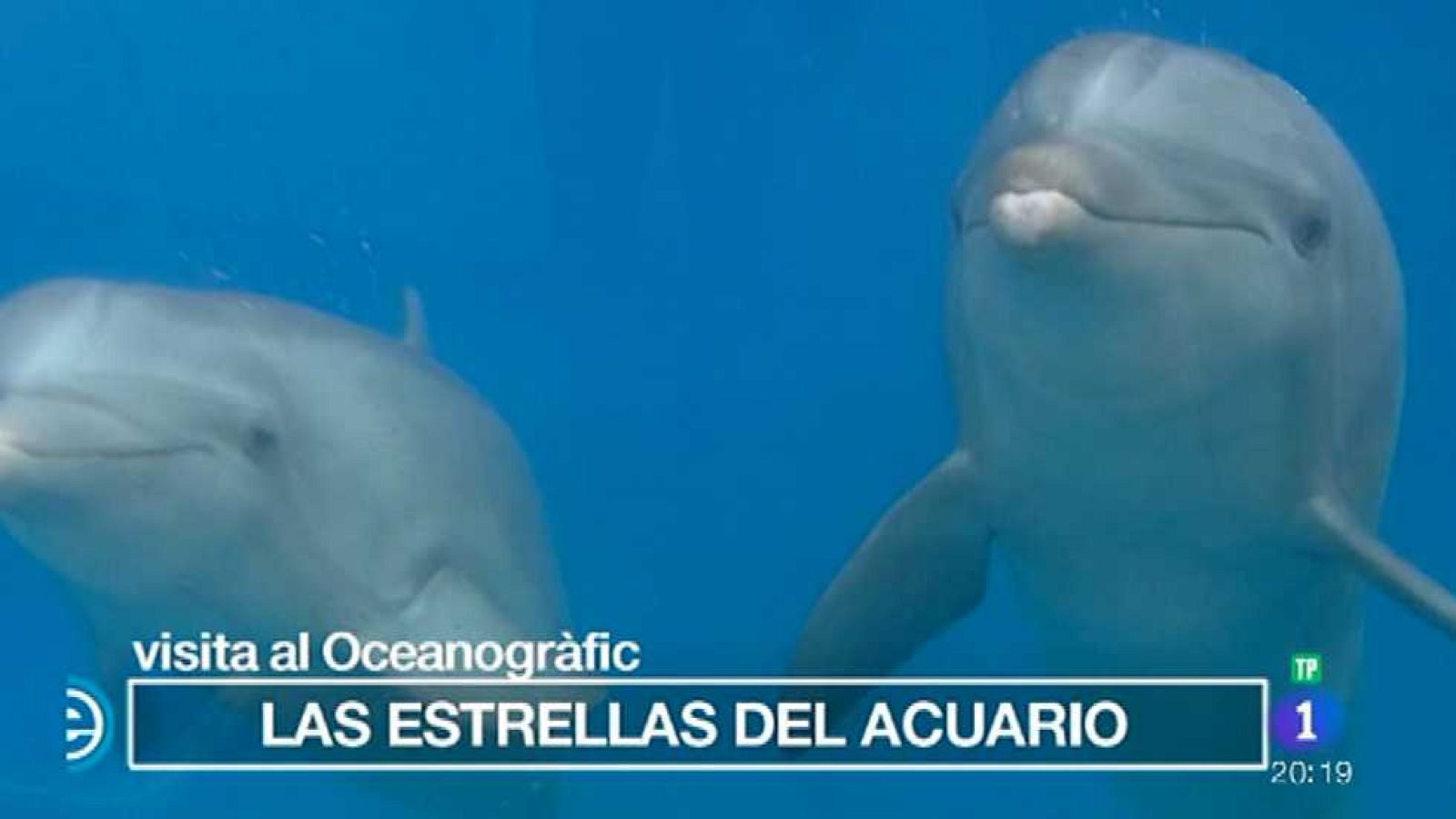 España Directo - 08/01/16 - Ver ahora