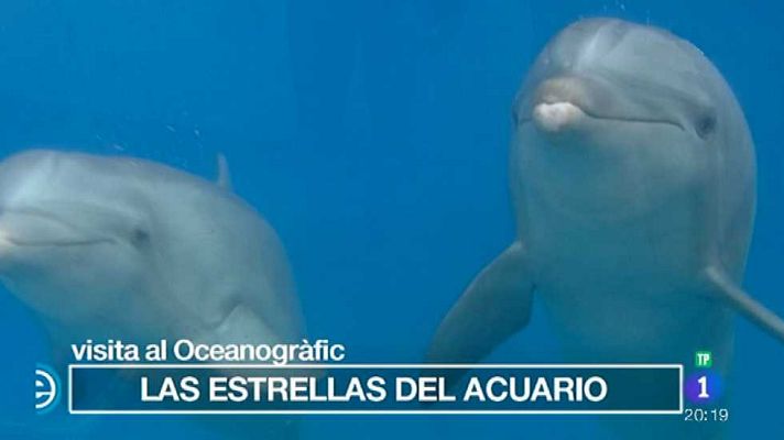 España Directo - España Directo - 08/01/16