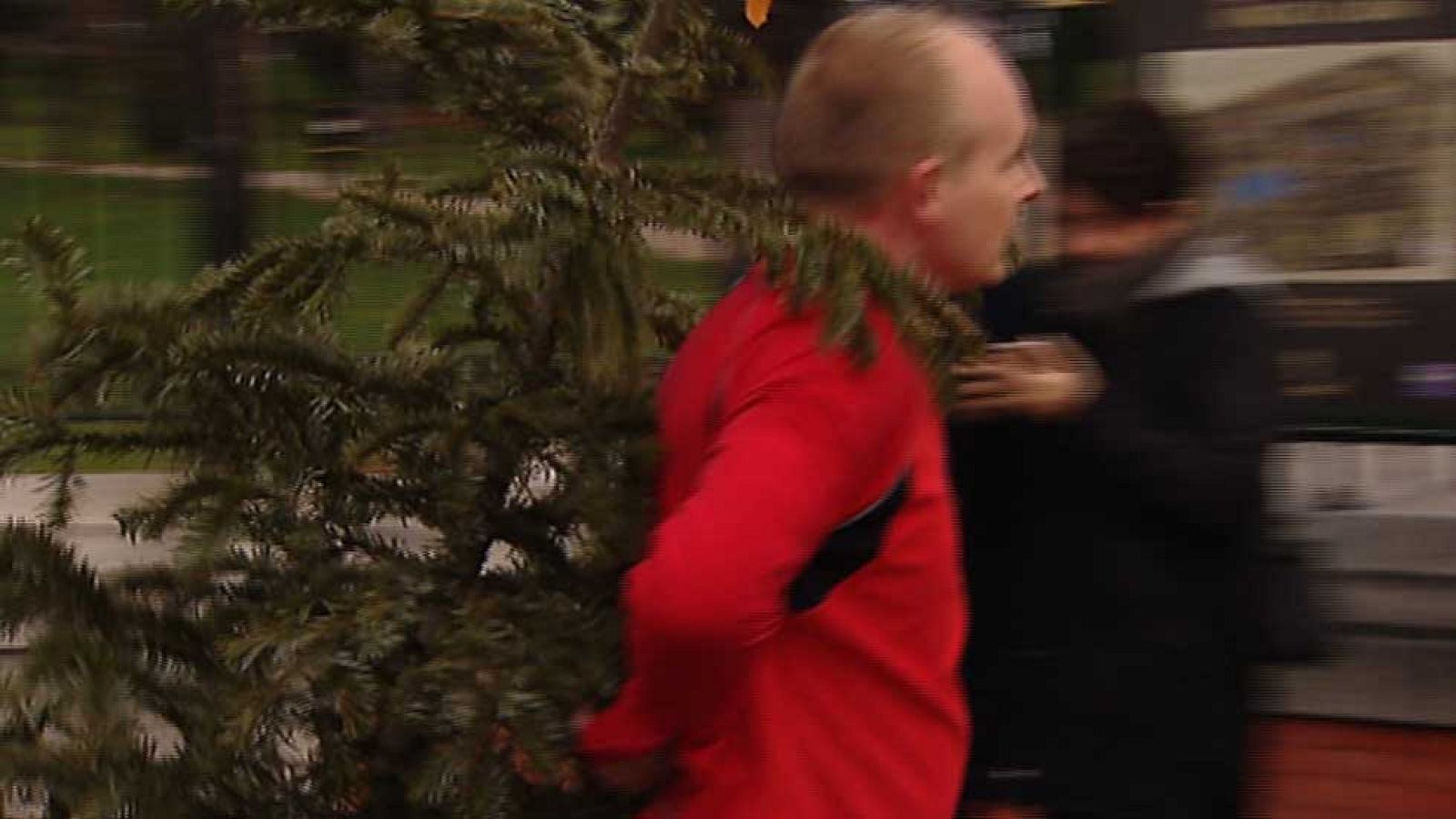 Campaña para la recogida de los árboles de Navidad