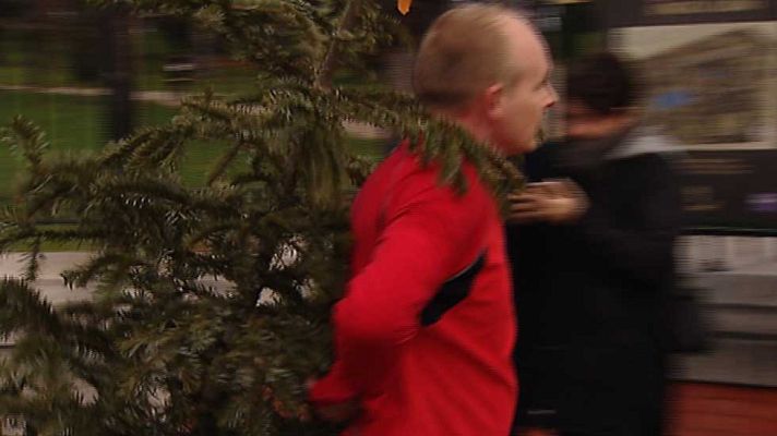 Telediario 1 - Campaña para la recogida de los árboles de Navidad