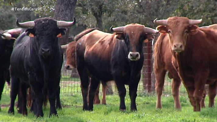 Tendido cero - Tendido Cero - 09/01/16